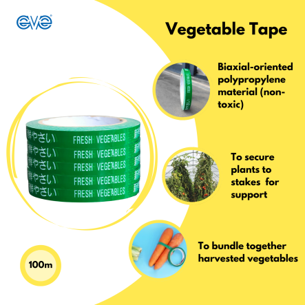 vegetable_tape_cover_page